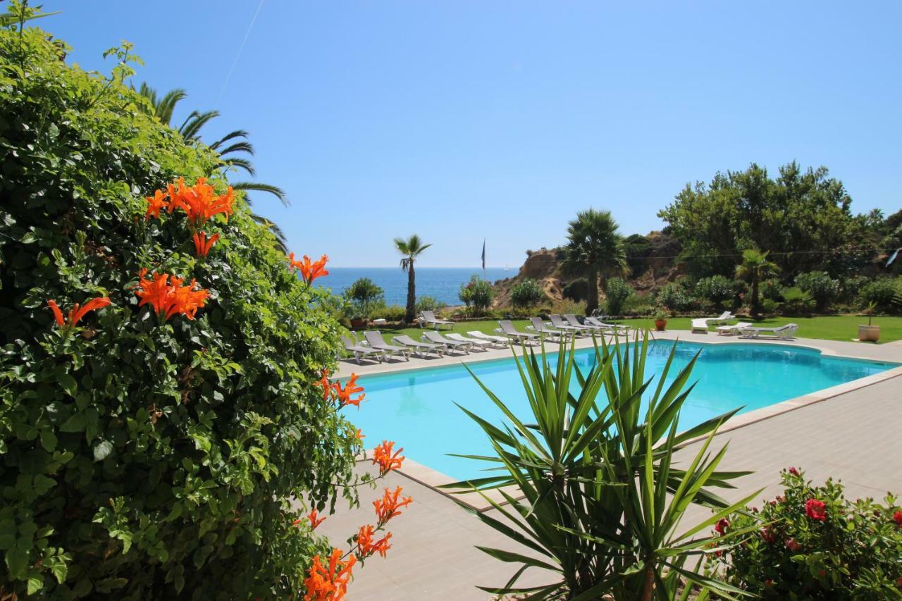 Magnifique Appartement Sur La Plage ... อัลบูเฟรา ภายนอก รูปภาพ